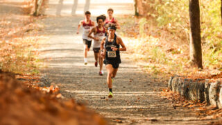 runners on cross country trail
