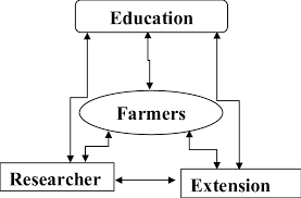 JAMB Subject Combination For Agricultural Extension 2022/2023