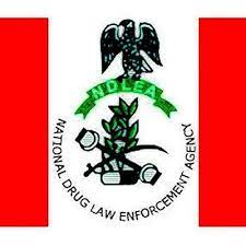 NDLEA Recruitment 2022/2023 Form is Out | All You Need to Know